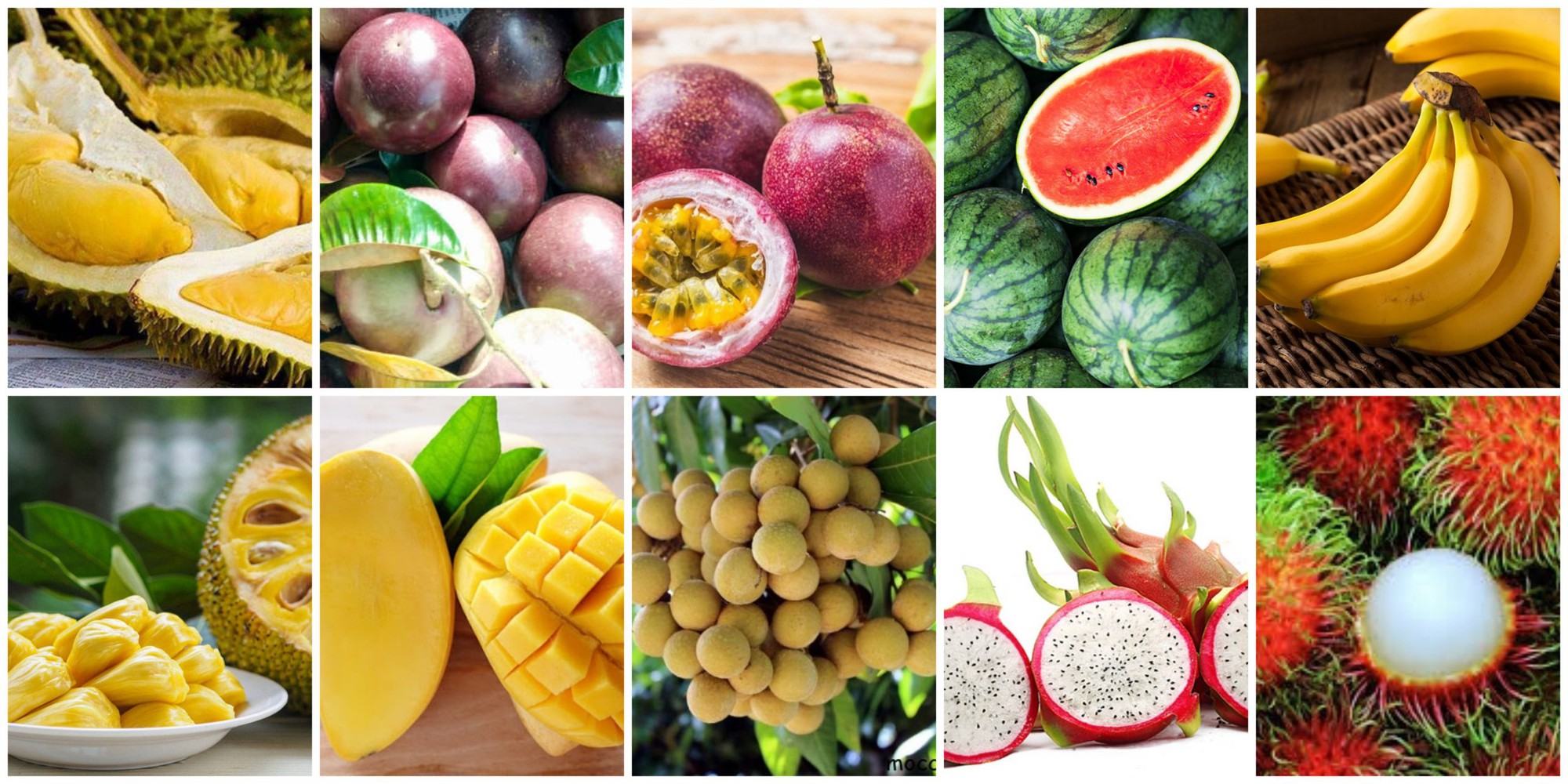 Sản phẩm trái cây, nông nghiệp xuất nhập khẩu
