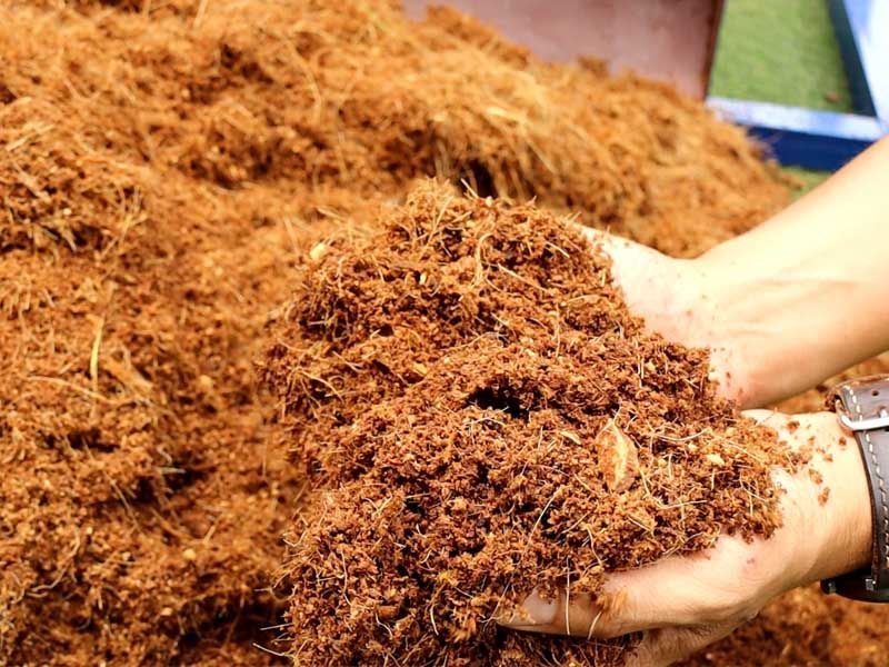 Nguyên liệu từ chất xơ dừa