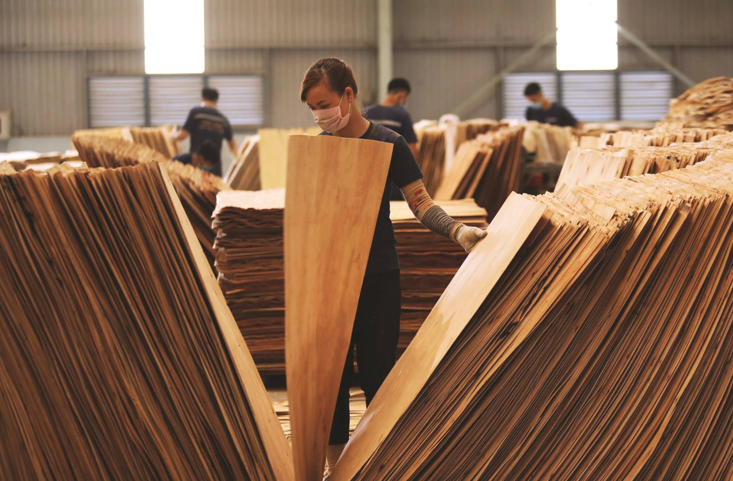 Ngành chế biến gỗ pallet xuất khẩu