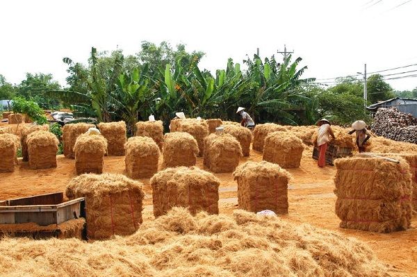 Nguyên liệu từ chất xơ dừa, trong ngành sản xuất pallet xơ dừa